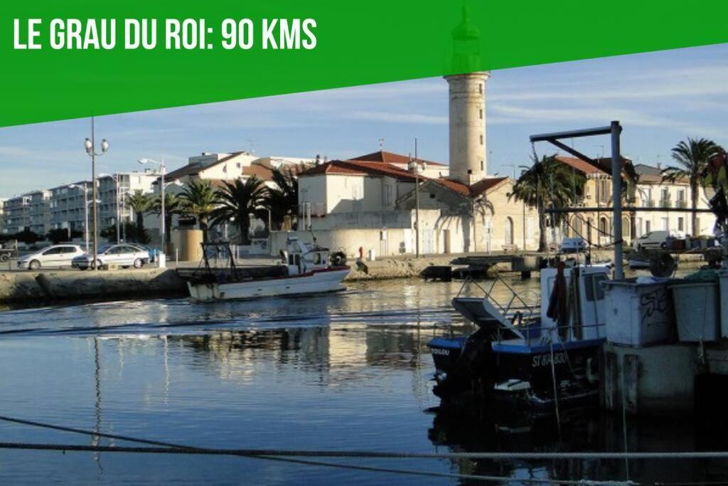 Ferienwohnung Les Comtadins - Parking Gratuit - Balcon - Clim Avignon Exterior foto